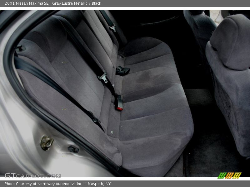 Gray Lustre Metallic / Black 2001 Nissan Maxima SE