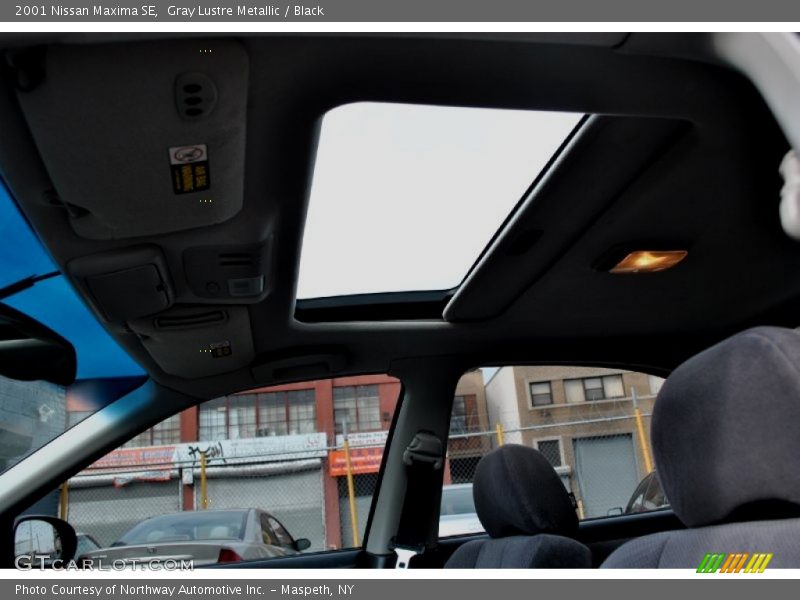 Gray Lustre Metallic / Black 2001 Nissan Maxima SE