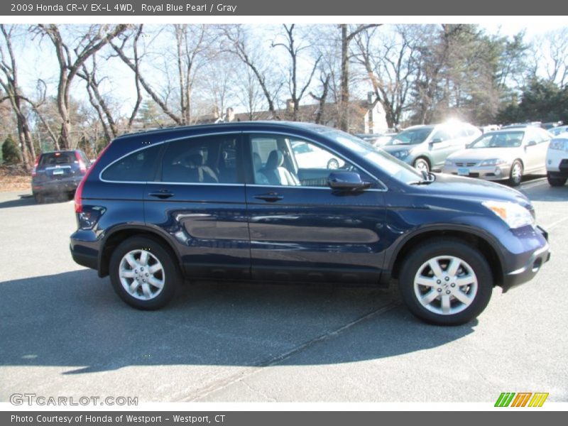Royal Blue Pearl / Gray 2009 Honda CR-V EX-L 4WD