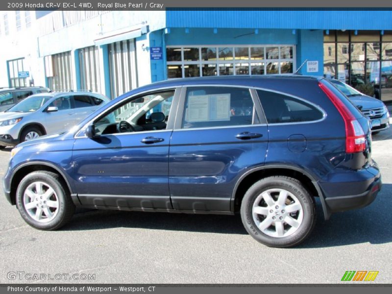 Royal Blue Pearl / Gray 2009 Honda CR-V EX-L 4WD