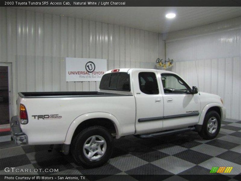 Natural White / Light Charcoal 2003 Toyota Tundra SR5 Access Cab
