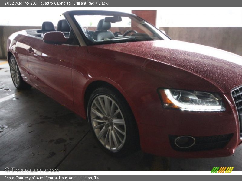 Brilliant Red / Black 2012 Audi A5 2.0T quattro Cabriolet