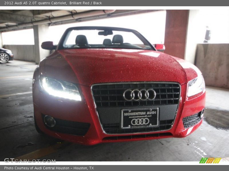 Brilliant Red / Black 2012 Audi A5 2.0T quattro Cabriolet