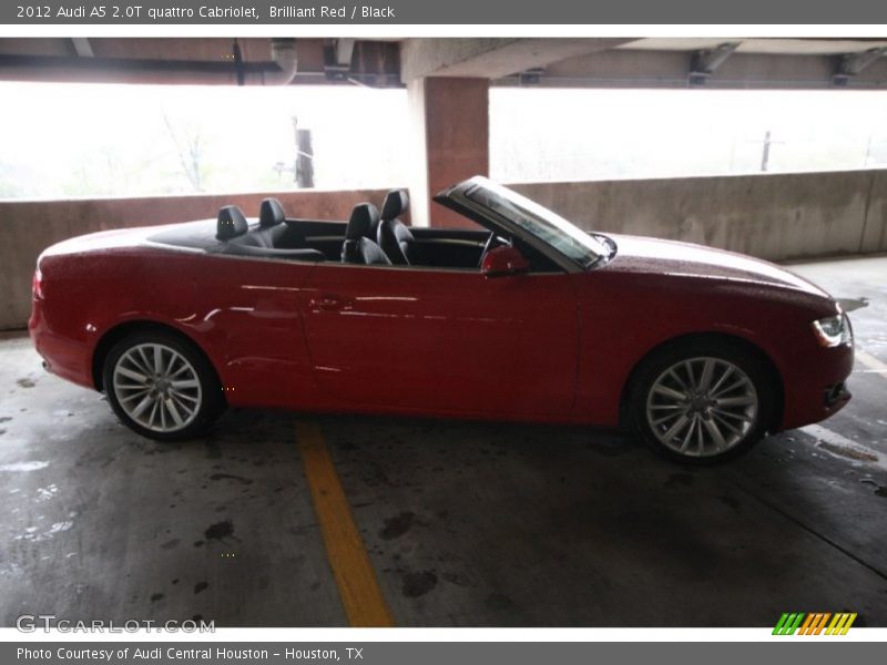 Brilliant Red / Black 2012 Audi A5 2.0T quattro Cabriolet