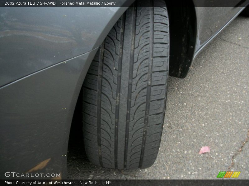 Polished Metal Metallic / Ebony 2009 Acura TL 3.7 SH-AWD
