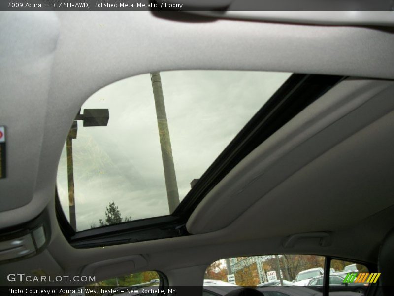 Polished Metal Metallic / Ebony 2009 Acura TL 3.7 SH-AWD
