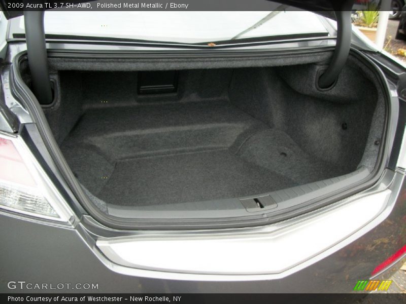 Polished Metal Metallic / Ebony 2009 Acura TL 3.7 SH-AWD
