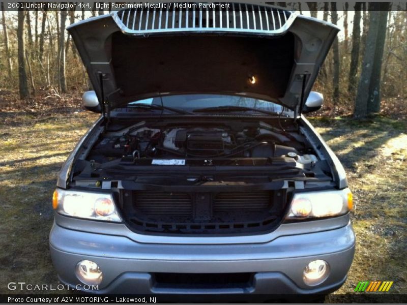 Light Parchment Metallic / Medium Parchment 2001 Lincoln Navigator 4x4