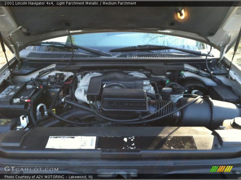 Light Parchment Metallic / Medium Parchment 2001 Lincoln Navigator 4x4