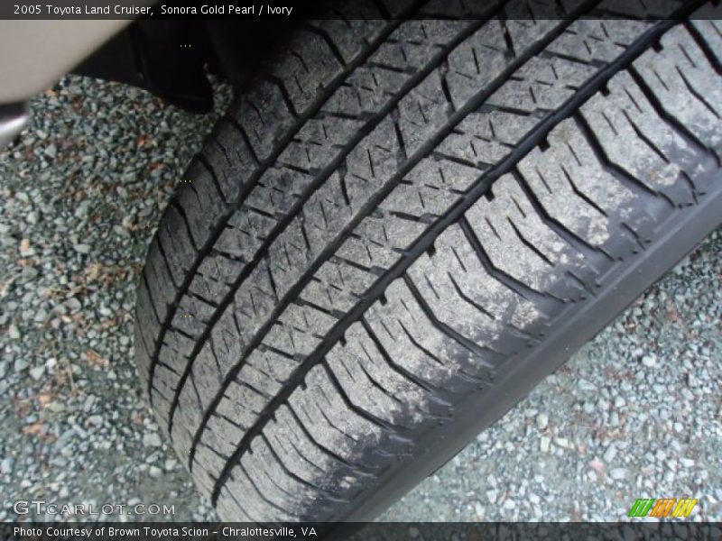 Sonora Gold Pearl / Ivory 2005 Toyota Land Cruiser