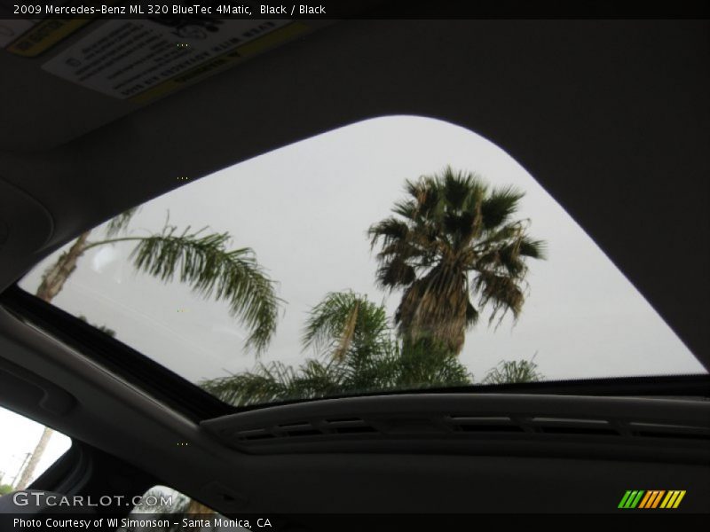 Black / Black 2009 Mercedes-Benz ML 320 BlueTec 4Matic