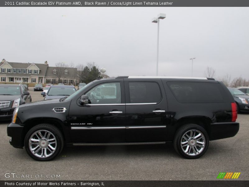 Black Raven / Cocoa/Light Linen Tehama Leather 2011 Cadillac Escalade ESV Platinum AWD