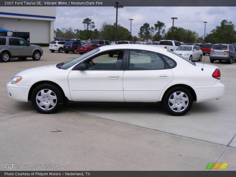 Vibrant White / Medium/Dark Flint 2007 Ford Taurus SE