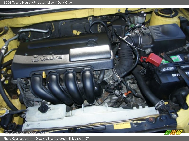 Solar Yellow / Dark Gray 2004 Toyota Matrix XR