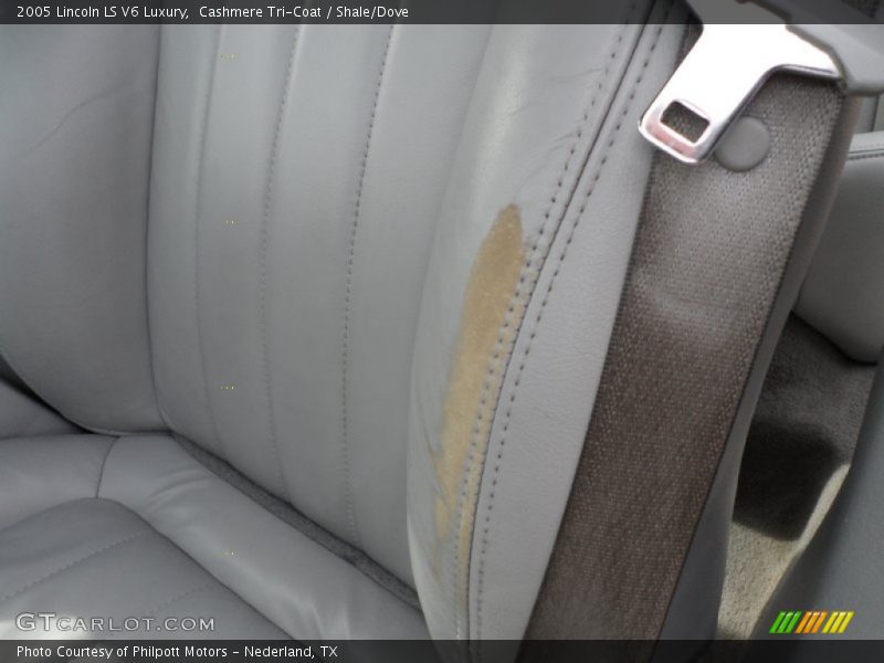 Cashmere Tri-Coat / Shale/Dove 2005 Lincoln LS V6 Luxury
