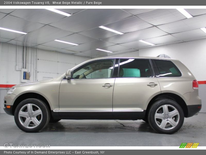 Wheat Beige Metallic / Pure Beige 2004 Volkswagen Touareg V8