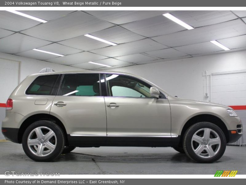 Wheat Beige Metallic / Pure Beige 2004 Volkswagen Touareg V8