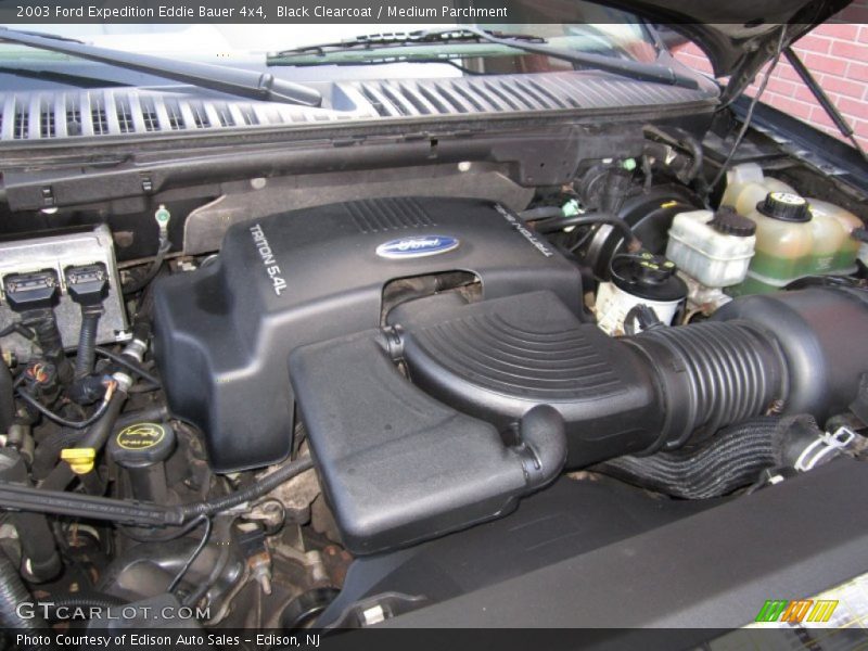 Black Clearcoat / Medium Parchment 2003 Ford Expedition Eddie Bauer 4x4