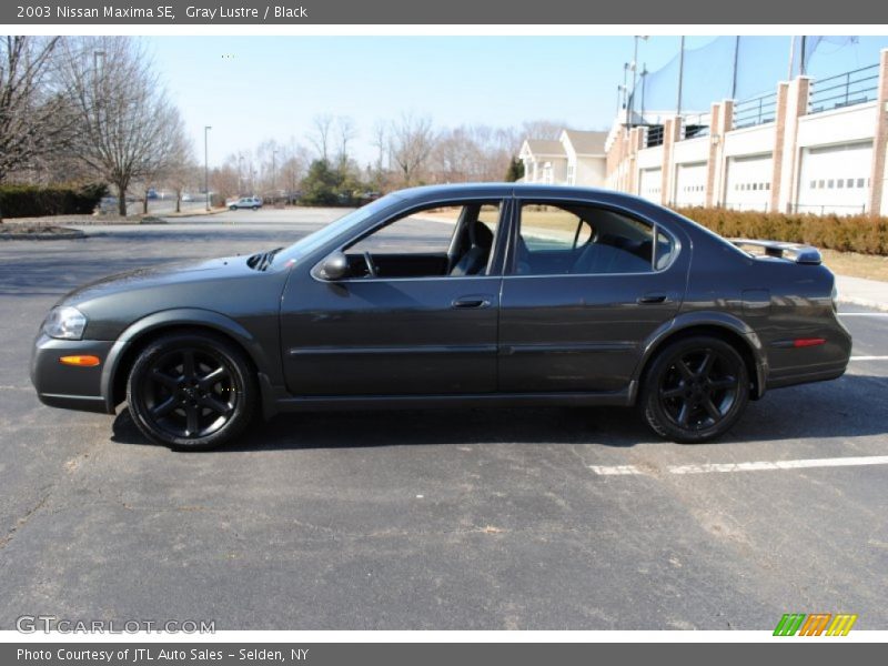 Gray Lustre / Black 2003 Nissan Maxima SE