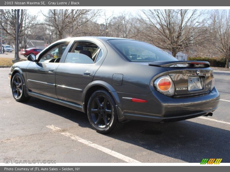Gray Lustre / Black 2003 Nissan Maxima SE