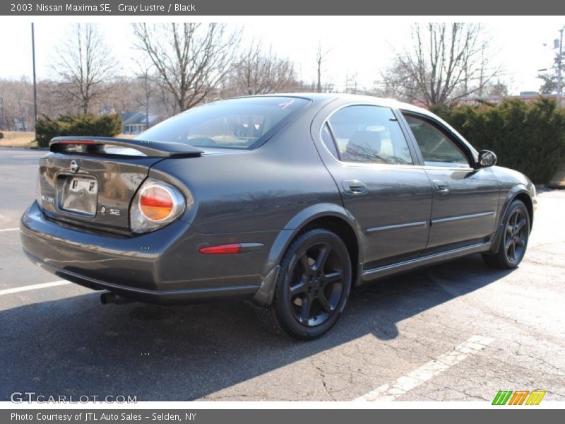 Gray Lustre / Black 2003 Nissan Maxima SE