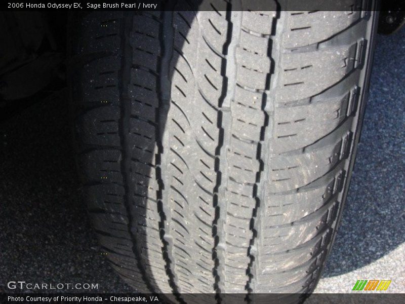 Sage Brush Pearl / Ivory 2006 Honda Odyssey EX