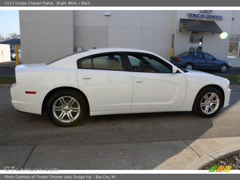 Bright White / Black 2011 Dodge Charger Rallye
