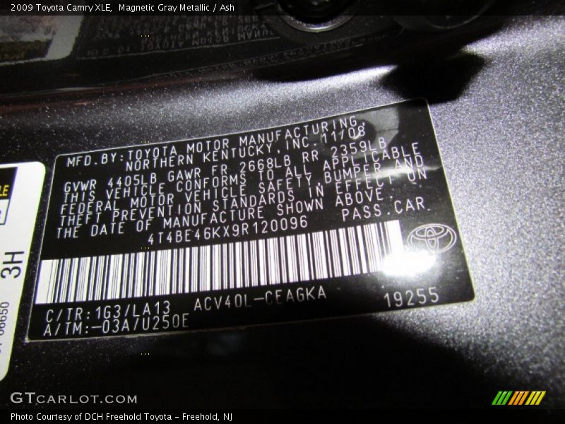 Magnetic Gray Metallic / Ash 2009 Toyota Camry XLE