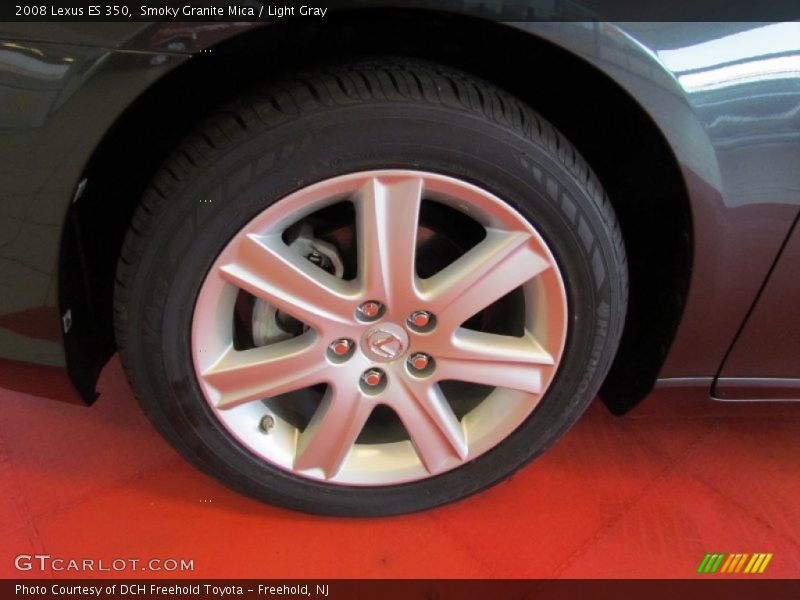 Smoky Granite Mica / Light Gray 2008 Lexus ES 350