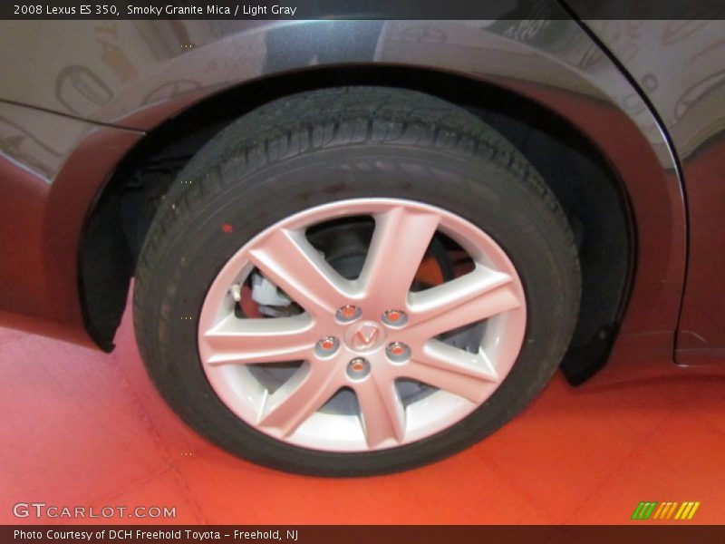 Smoky Granite Mica / Light Gray 2008 Lexus ES 350