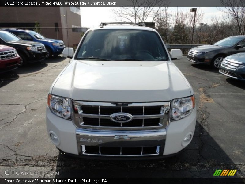 White Suede / Charcoal Black 2012 Ford Escape Limited 4WD