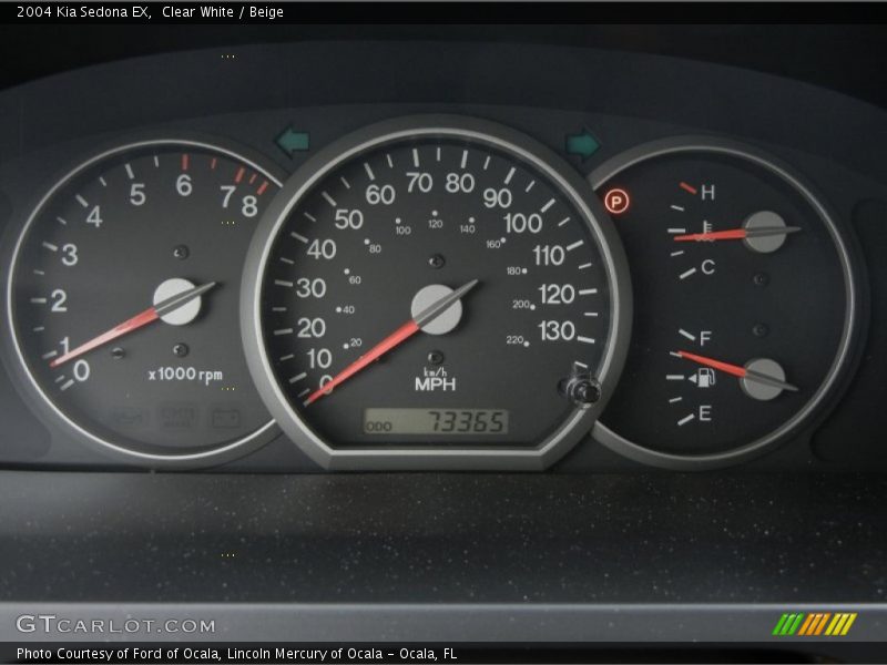 Clear White / Beige 2004 Kia Sedona EX