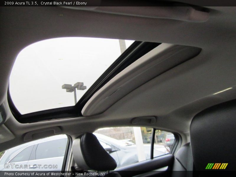 Crystal Black Pearl / Ebony 2009 Acura TL 3.5