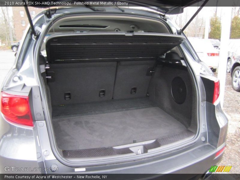 Polished Metal Metallic / Ebony 2010 Acura RDX SH-AWD Technology