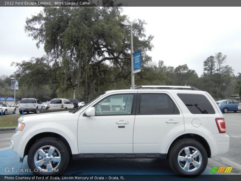 White Suede / Camel 2012 Ford Escape Limited