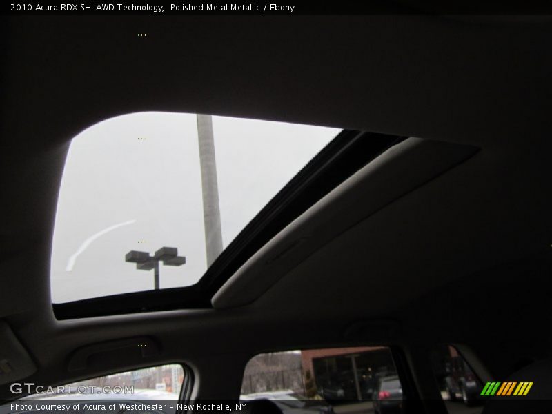 Polished Metal Metallic / Ebony 2010 Acura RDX SH-AWD Technology