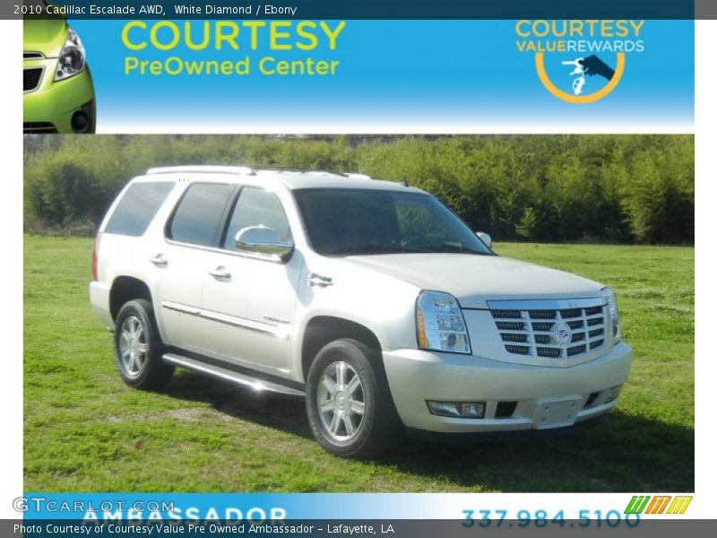 White Diamond / Ebony 2010 Cadillac Escalade AWD