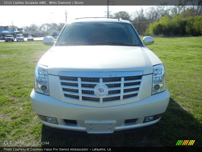 White Diamond / Ebony 2010 Cadillac Escalade AWD