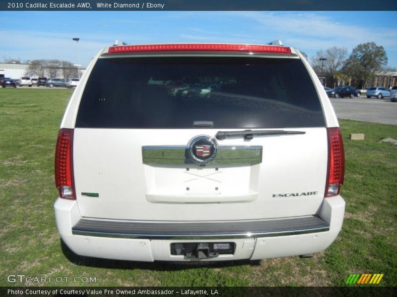 White Diamond / Ebony 2010 Cadillac Escalade AWD