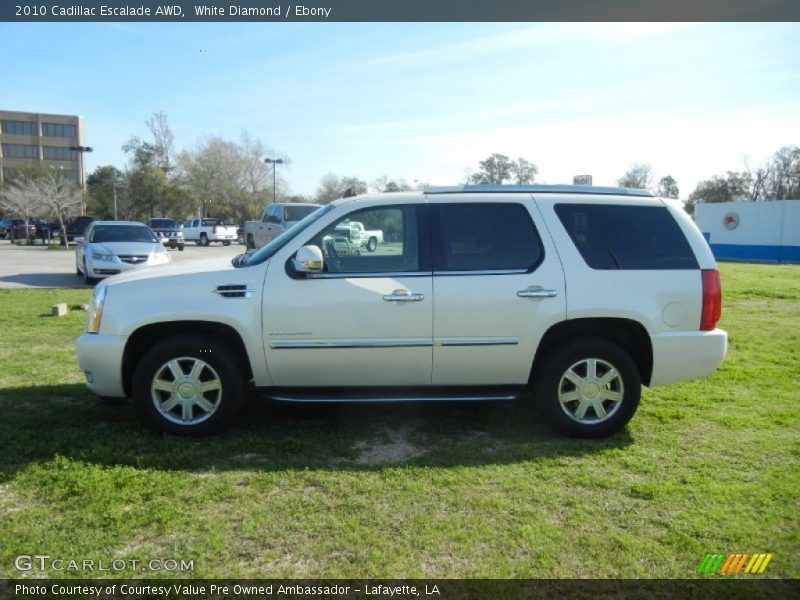 White Diamond / Ebony 2010 Cadillac Escalade AWD