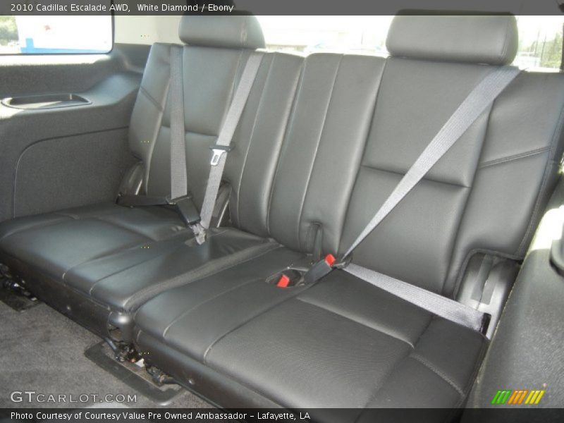 White Diamond / Ebony 2010 Cadillac Escalade AWD