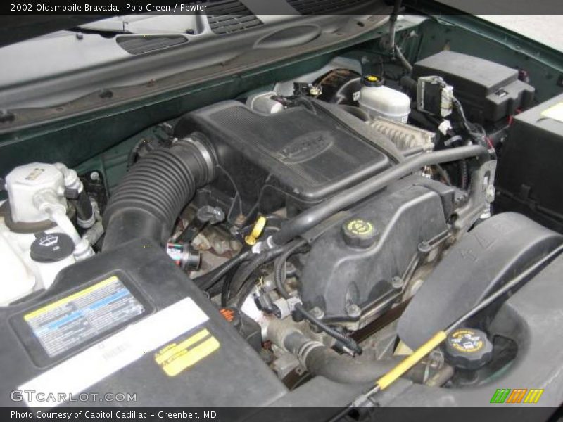 Polo Green / Pewter 2002 Oldsmobile Bravada