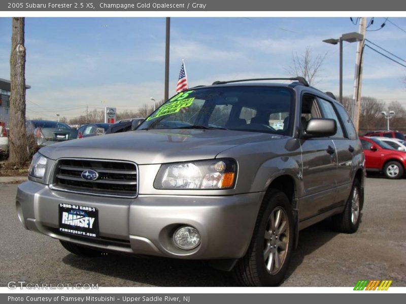 Champagne Gold Opalescent / Gray 2005 Subaru Forester 2.5 XS