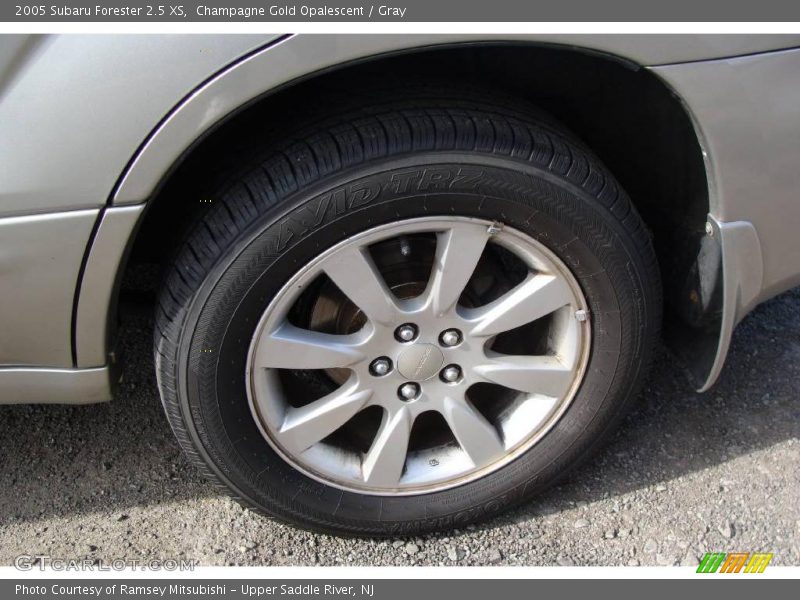 Champagne Gold Opalescent / Gray 2005 Subaru Forester 2.5 XS