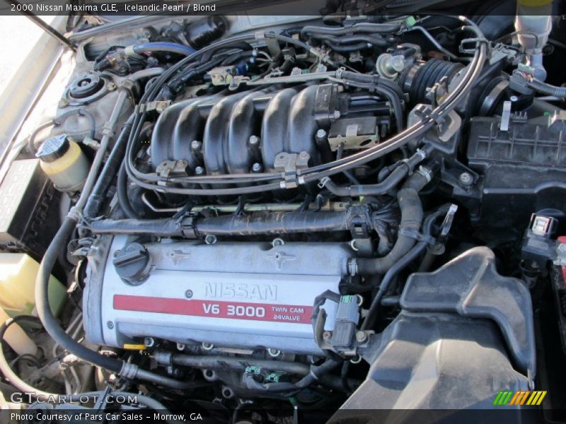 Icelandic Pearl / Blond 2000 Nissan Maxima GLE