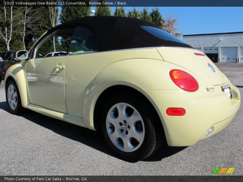 Mellow Yellow / Black 2003 Volkswagen New Beetle GLS Convertible