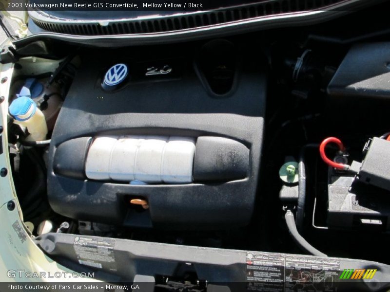 Mellow Yellow / Black 2003 Volkswagen New Beetle GLS Convertible