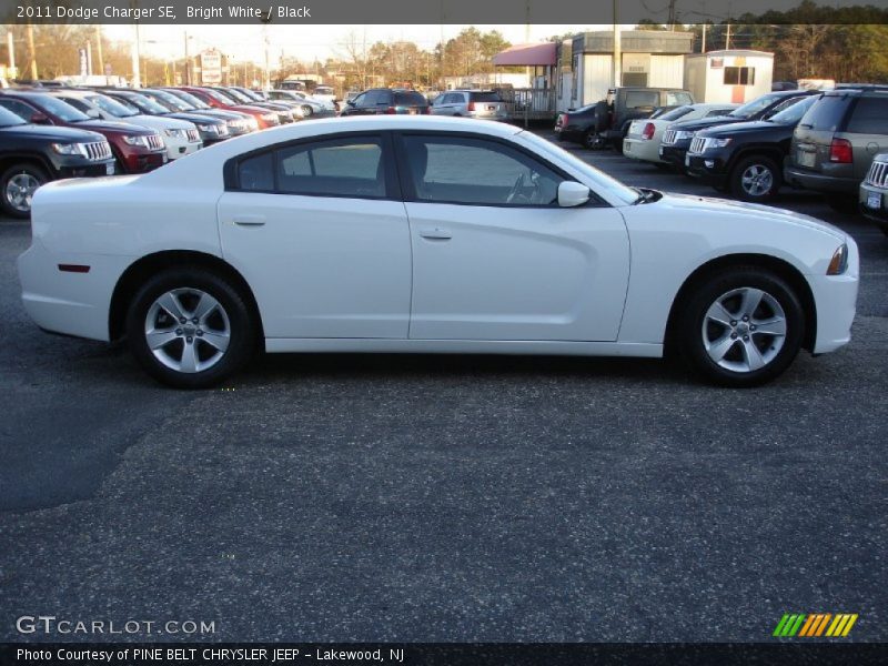 Bright White / Black 2011 Dodge Charger SE