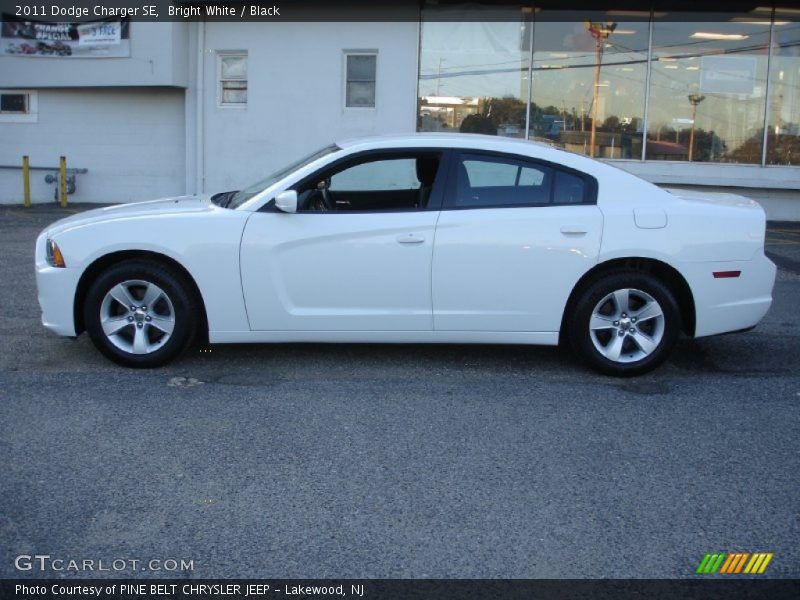 Bright White / Black 2011 Dodge Charger SE
