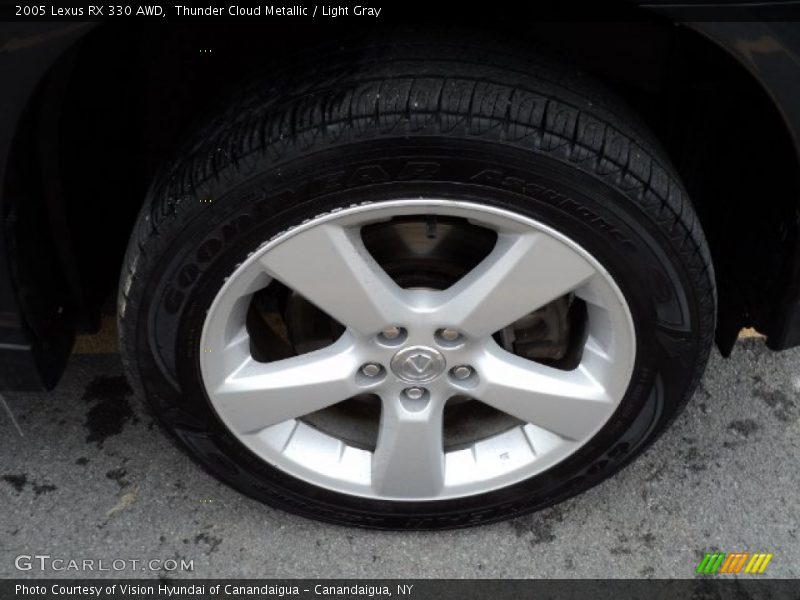 Thunder Cloud Metallic / Light Gray 2005 Lexus RX 330 AWD